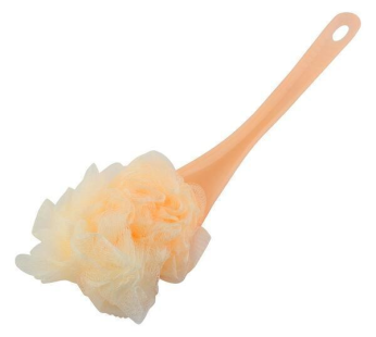 Long Handle Shower Brush