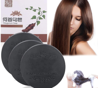 Polygonum Hair Darkening Shampoo Bar